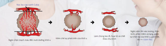 Cơ chế giảm đau tự nhiên của nọc bọ cạp xanh Cuba