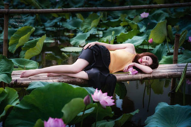 Không ít cô gái muốn lưu khoảnh khắc đẹp bên sen vào lúc đêm muộn (ảnh: Lương Trung Kiên).