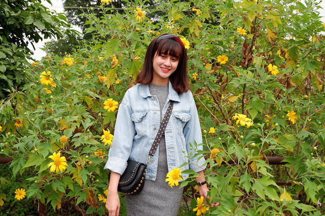 Giới trẻ đổ x&ocirc; đi ngắm hoa d&atilde; quỳ Ba V&igrave;