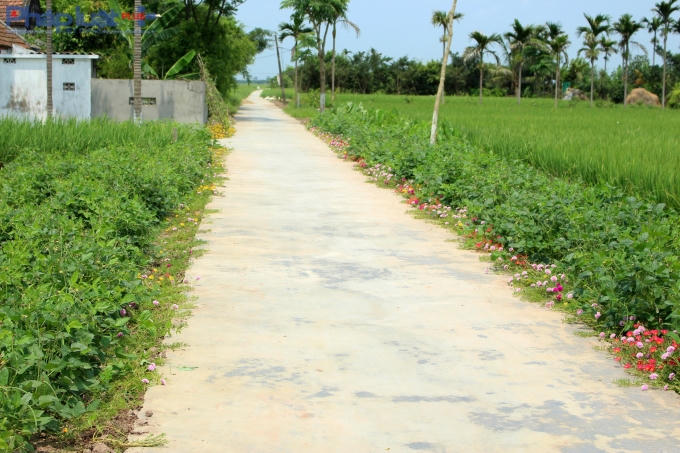 Hay đường vào từng nhà.