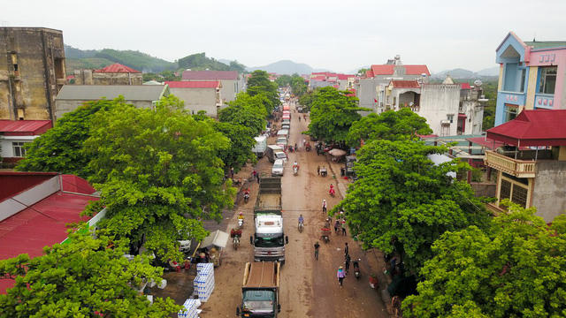 N&ocirc;ng d&acirc;n Bắc Giang tất bật v&agrave;o vụ thu hoạch vải