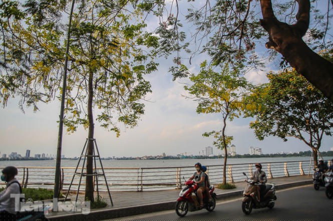 Những phố hoa Hà Nội làm xao xuyến lòng người - ảnh 13
