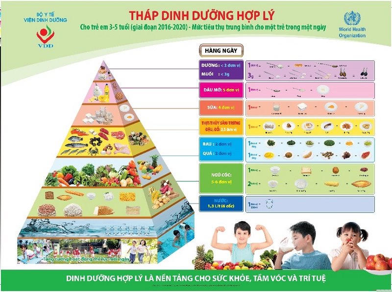 Sữa và sản phẩm từ sữa là một thực phẩm có mặt trong tháp dinh dưỡng hợp lý do Viện dinh dưỡng khuyến nghị