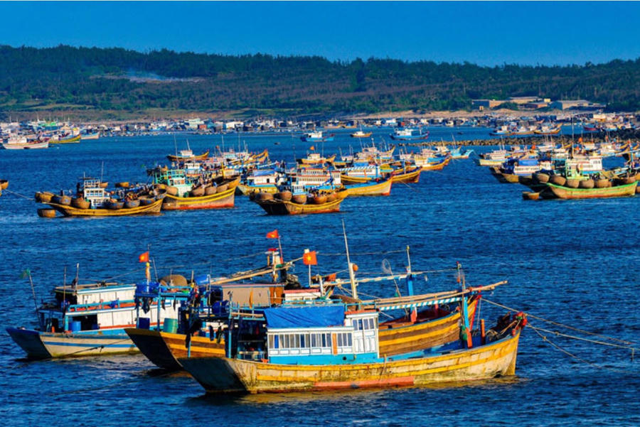 Trung Quốc trở thành thị trường tiêu thụ thủy sản lớn nhất của Việt Nam. Ảnh IT