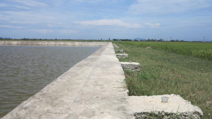Hồ nước nơi 3 học sinh bị đuối nước không hề có rào chắn, mặc dù hiện tại mực nước trong hồ khá sâu và rất nguy hiểm.
