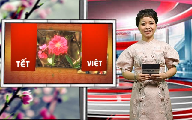 Bản tin Tết Việt 2020: Lễ chùa đầu xuân, miền tâm thức linh thiêng