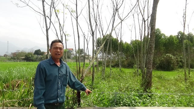 dsc00033-2335
