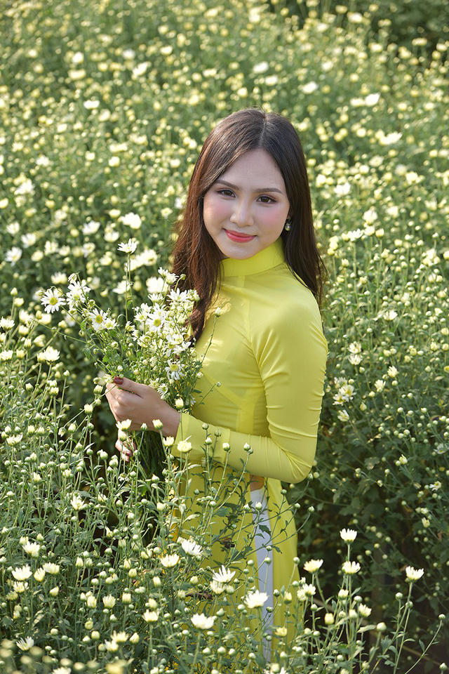 Theo kinh nghiệm của các nhiếp ảnh, cúc hoạ mi là loài hoa mau tàn. Chụp ảnh với cúc hoạ mi đẹp nhất là là từ thời điểm này cho tới hết tháng 11.