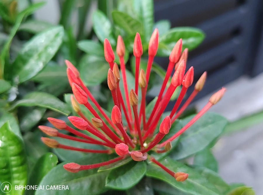 Trải nghiệm Camera Bphone B86, những tính năng mới có thú vị? ảnh 10