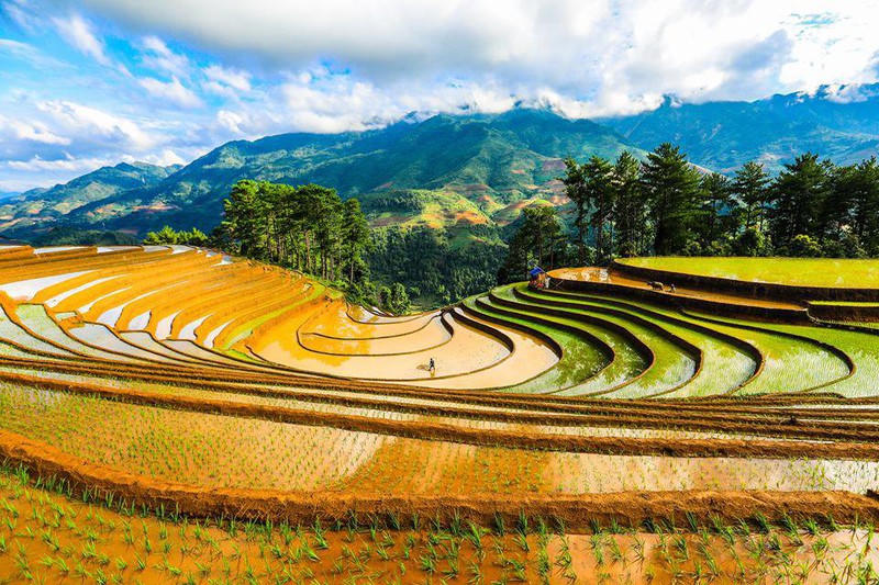 Một vụ mùa tươi tốt, no đủ đã gieo mầm, bén rễ từ trong những nhọc nhằn…
