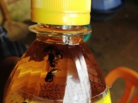 5 con ruồi xuất hiện trong chai C2 ngay cả khi người dùng chưa mở nắp.