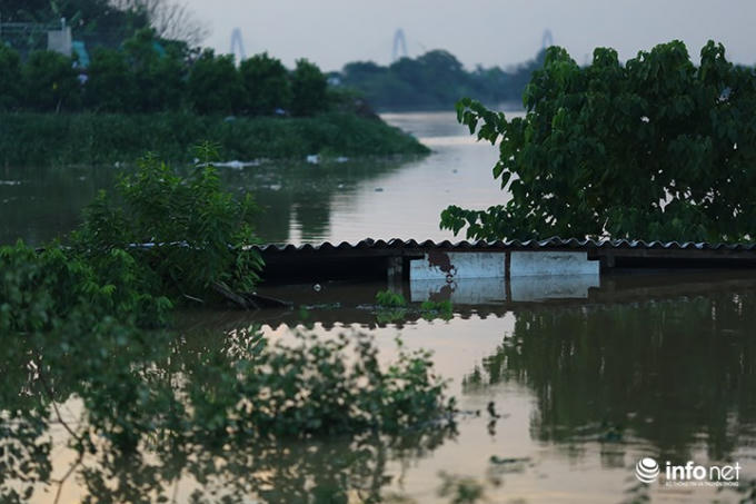 Tại khu vực phường Tứ Li&ecirc;n, Nhật T&acirc;n của quận T&acirc;y Hồ (H&agrave; Nội) nước cũng đ&atilde; tr&agrave;n v&agrave;o khu trồng c&acirc;y cảnh, hoa m&agrave;u khiến nhiều hộ c&oacute; nguy cơ mất trắng. Khu vực b&atilde;i gốm sứ l&agrave; khu vực bị ảnh hưởng nhiều nhất.&nbsp;