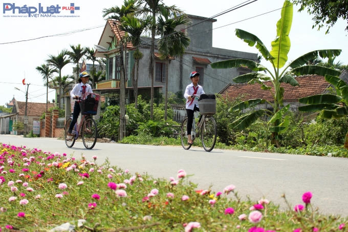 Con đường hoa đầy lãng mạn ở làng quê Nam Định