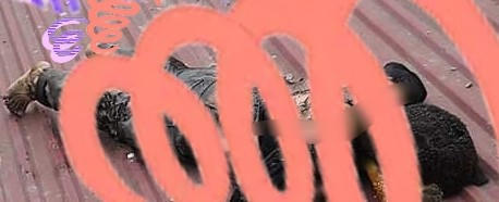 người đàn ông bị điện giật tử vong tại Thị Xã Buôn Hồ