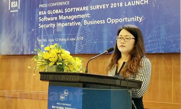 Đại diện BSA khu vực châu Á-Thái Bình Dương cho biết việc giảm 4% thể hiện nỗ lực không nhỏ của Việt Nam trong thời gian qua trong việc thực thi quyền sở hữu trí tuệ. (Ảnh: T.H/Vietnam+)
