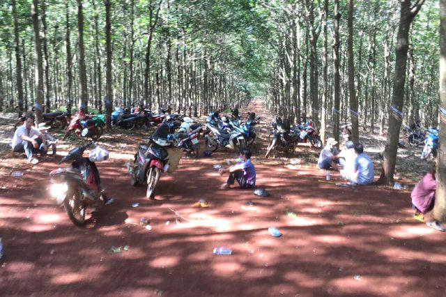 201516509_230926838561070_4680882635144823712_n