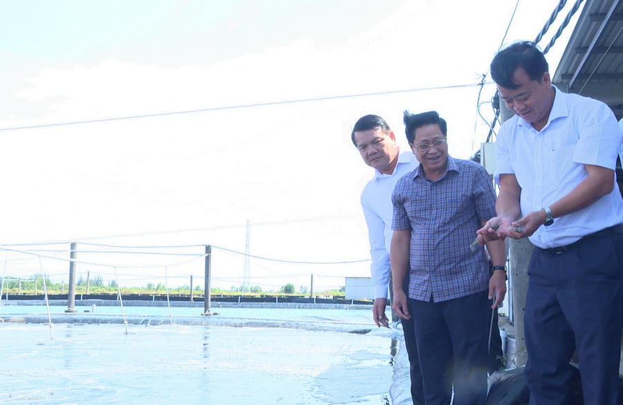 Ông Huỳnh Quốc Việt - Phó Bí thư Thường trực Tỉnh ủy Cà Mau; ông Bùi Tấn Bảy - Ủy viên BTV Tỉnh ủy, Phó Chủ tịch HĐND tỉnh Cà Mau cùng ông Bí thư Đảng ủy xã Long Điền đến tham quan mô hình nuôi tôm siêu thâm canh của hộ ông Trần Văn Toàn, ấp Hòa 1 (Ảnh: NT).