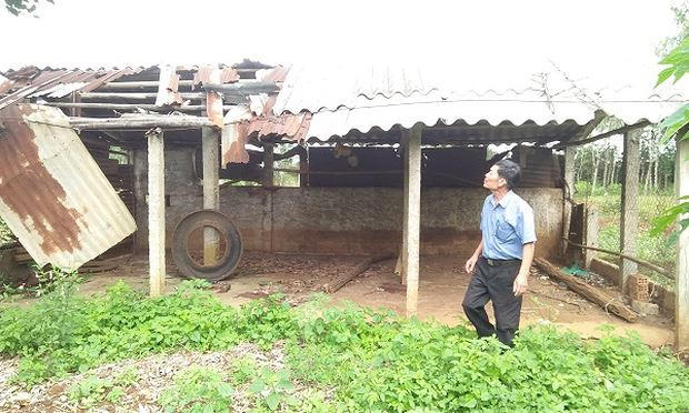 Ông Hòa bên cơ ngơi giờ đã tan hoang.