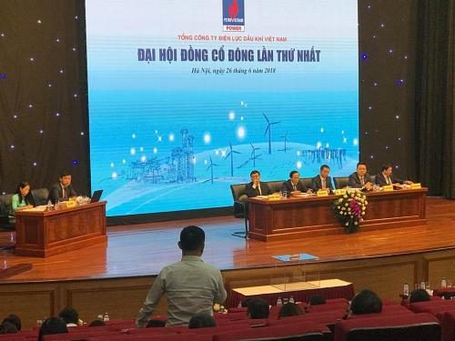 Một cổ đông cá nhân đặt câu hỏi với lãnh đạo PV Power. (Nguồn: TTXVN)
