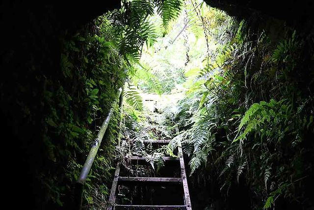 Hang ngầm nằm phía dưới lòng đất, sâu hơn 4m, có một cửa hang chính thông lên phía sau hậu cung đình Quán La. Các cụ trong làng đã làm một thang sắt để tiện cho việc lên xuống. Dưới hang có 3 ngách, theo các cụ truyền lại thì một ngách đi Hồ Tây, một ngách đi Xuân Đỉnh, một ngách đi sông Hồng. Mỗi ngách hầm rộng khoảng 1,5m, cao khoảng 1,6m.