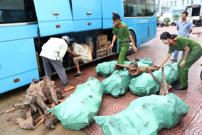 9 bao tải gỗ trắc (thuộc nhóm 1) giấu trong xe khách bị lực lượng chức năng thu giữ.