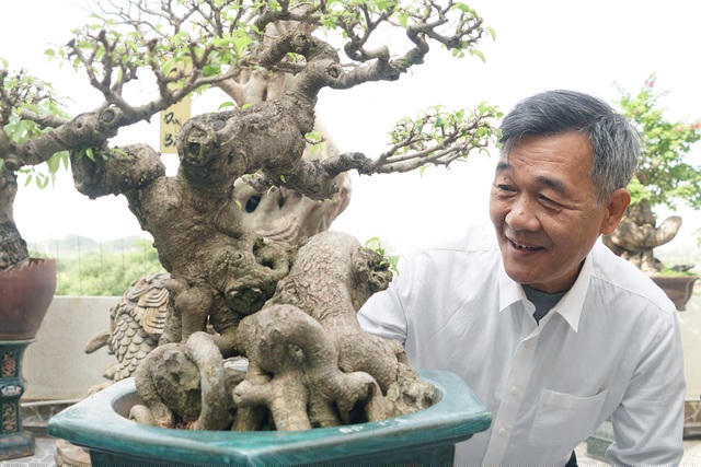 Bỏ ra một số tiền khá lớn để mua cây nhưng giá trị tinh thần đối với ông rất lớn bởi được ngắm cây hàng ngày khiến ông quên hết mệt mỏi, áp lực trong công việc