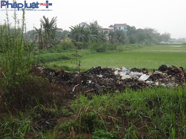 Bãi rác được tập kết ngay đầu thôn Chi Đông luôn trong tình trạng âm í cháy khiến môi trường nơi đây càng thêm ô nhiễm nặng nề.