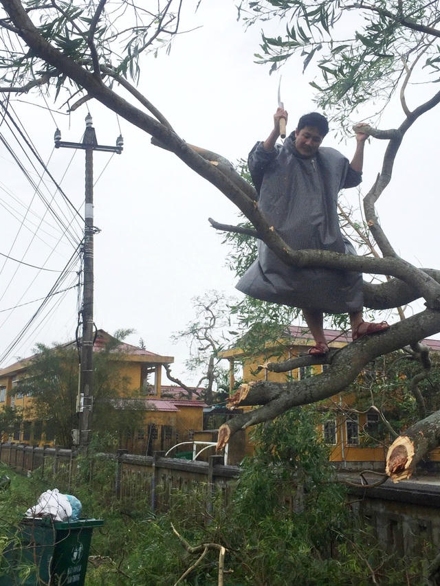 Cán bộ xã Điền Hải, huyện Phong Điền chặt cây gãy đổ, dọn dẹp sau bão. Đội xung kích phòng, chống bão lụt xã Vinh Mỹ (huyện Phú Lộc) với nòng cốt là lực lượng Công an xã, Xã đội rất khẩn trương khắc phục hậu quả cơn bão số 13 tại địa bàn xã.