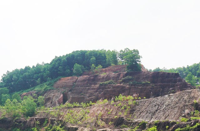 Những vạt rừng đang dần phủ xanh đồi Tỷ - nơi xảy ra những trận huyết đấu giữa c&aacute;c băng nh&oacute;m x&atilde; hội c&aacute;t cứ tranh gi&agrave;nh l&atilde;nh địa đ&aacute; đỏ, nơi xảy ra những vụ sập hầm ch&ocirc;n v&ugrave;i hơn 70 sinh mạng phu đ&aacute;.