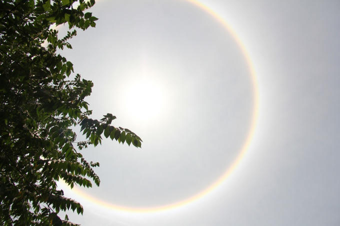 Hiện tượng này xuất hiện đúng vào mùa Phật đản.