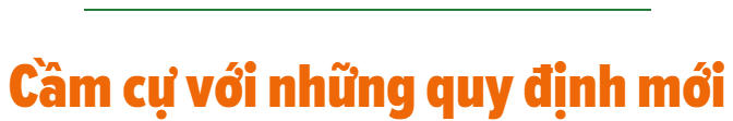 Thị trường ô tô nhập khẩu 2018: Một năm 'nhảy múa'