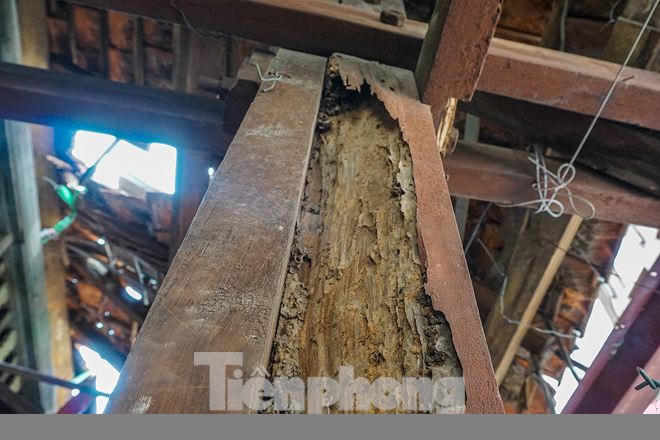 Các cột chống bằng gỗ đã mục nát gần hết.