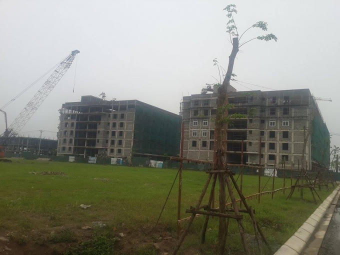 Dự án được chia làm 2 khu, Thanh Hà A có quy mô trên 195ha và Thanh Hà B có quy mô trên 193ha.