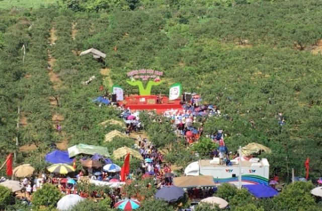 Du khách nườm nượp đổ về thung Nà Ka xem hội hái mận