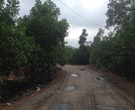 Con đường độc đạo giữa rừng dẫn vào "thiên đường" than thổ phỉ (Ảnh: Quang Chính).