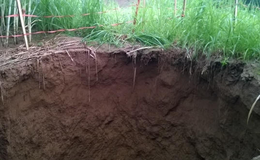 Hố tử thần xuất hiện tại xã Thành Vinh lần này cũng không ngoại lệ là hiện tượng sụt lún hết sức bình thường.