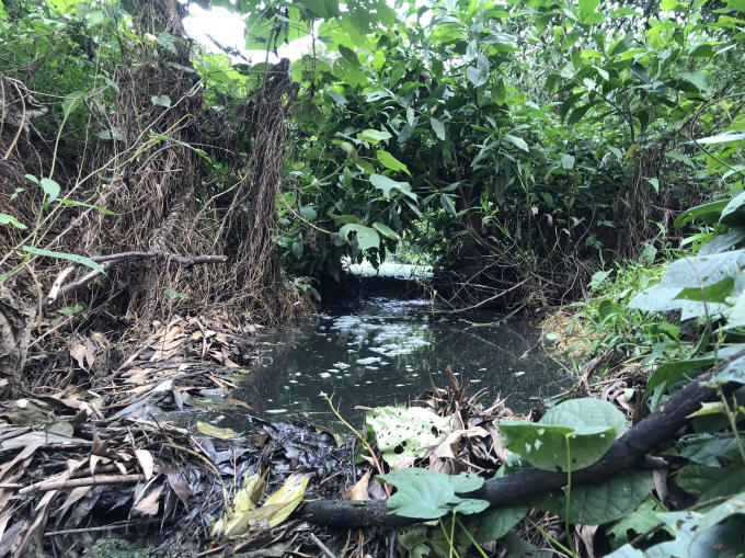 z2188216141698_885e8703324573e4b882093d3574dc91