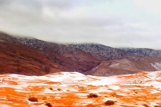 Hiện tại, nhiệt độ ở sa mạc Sahara đã vượt qua ngưỡng kỷ lục 47 độ C. Tuy nhiên các nhà khoa học dự báo màu xanh sẽ bao phủ nơi đây trong khoảng 15.000 năm nữa.