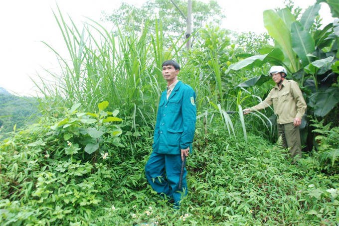 Lực lượng chức năng đang truy tìm, vây bắt nghi phạm giết người.