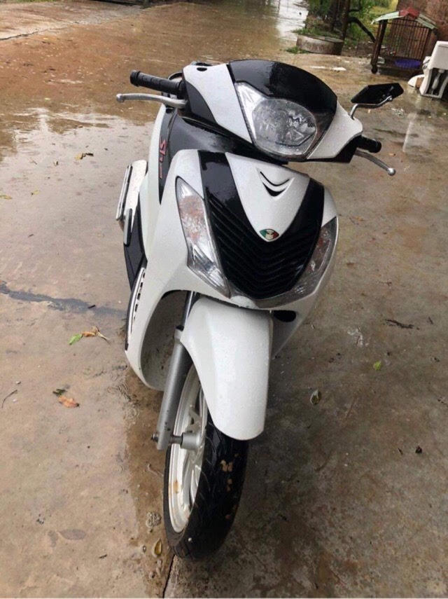 Xe lậu, xe ăn trộm không giấy tờ có thể được