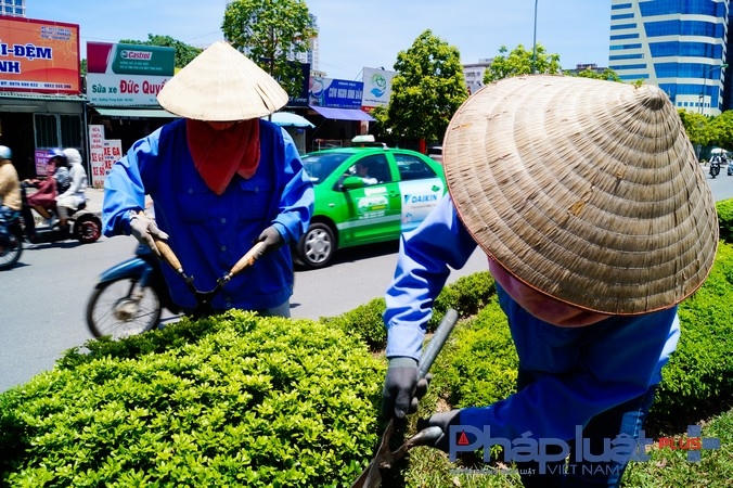 Những nữ công nhân môi trường đô thị làm việc ngoài trời.