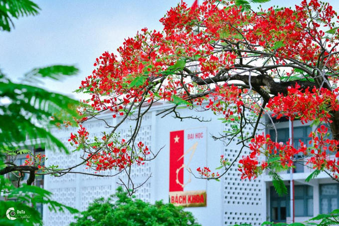 Trường Đại học B&aacute;ch khoa H&agrave; Nội nơi ươm mầm t&agrave;i năng kỹ thuật