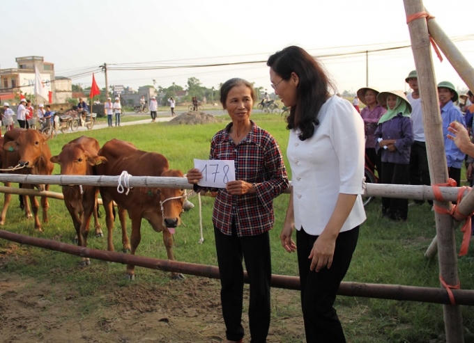 Vingroup hỗ trợ 200 bê cái cho các hộ nghèo tỉnh Thái Bình gây giống