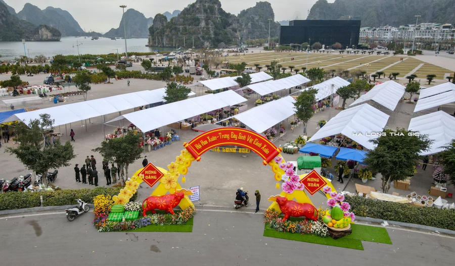 Quảng Ninh triển khai chuỗi sự kiện văn hóa, thể thao và du lịch quy mô lớn, mang đậm bản sắc truyền thống dịp Tết Bính Ngọ 2026.