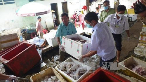 Lực lượng chức năng thu giữ số thịt thối tại chợ Đồng Xoài. Ảnh: Đậu Thành
