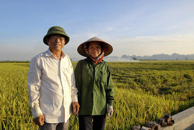 Chân dung những người nông dân Mỹ Đức bên đồng ruộng. Vợ chồng bác Nguyễn Ngọc Uyên và Ngô Thị Thuấn có tất cả 4 sào ruộng, năm nay lúa được mùa, mỗi sào cũng cho thu hoạch khoảng 2,8 tạ thóc.