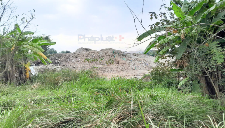 Tiến hành kiểm tra, xác minh, cơ quan điều tra xác định, từ năm 2023 đến nay, Nguyễn Văn Họa (trú tại xã Gia Lâm, TP Hà Nội) thông qua việc thuê khoảng 2.000m² đất nông nghiệp tại thôn Thuận Tốn, xã Bát Tràng, đã tổ chức tiếp nhận, san lấp trái phép trạc thải xây dựng nhằm trục lợi.