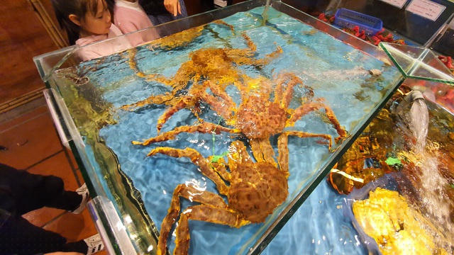 Cua King Grab hiện đang có giá khoảng 1,75 triệu đồng/kg.