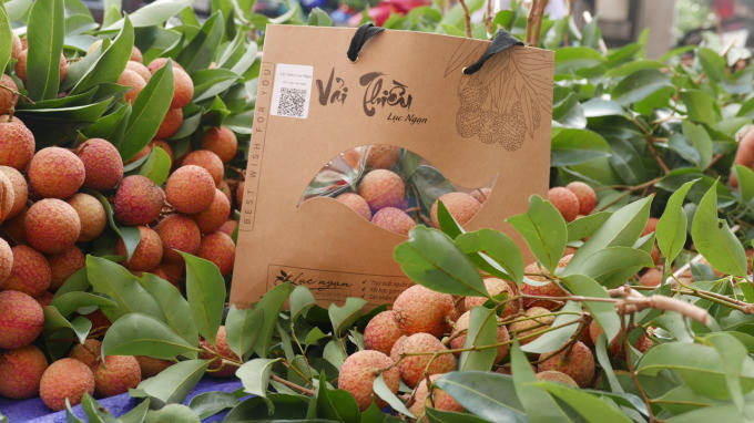 vai-thieu-15899677712291628525320