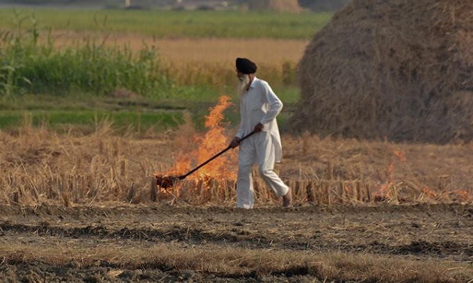 Việc những người nông dân đốt rơm rạ trên các cánh đồng ngoại ô thành phố là một trong những nguyên nhân gây nên tình trạng ô nhiễm nghiêm trọng ở New Delhi. Ảnh: AP